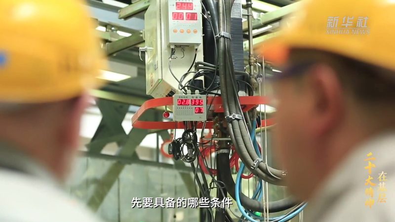 企业数据定制化服务：揭秘其价值与选择要点