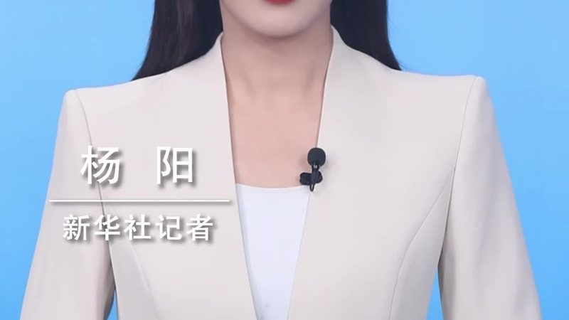 SaaS平台案例数量，企业选择的关键考量