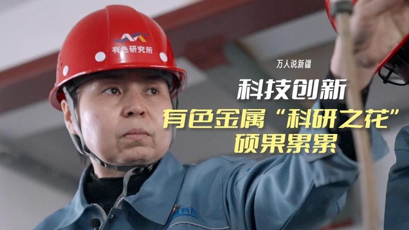 揭秘互联网技术解决方案供应商：品牌对比背后的逻辑